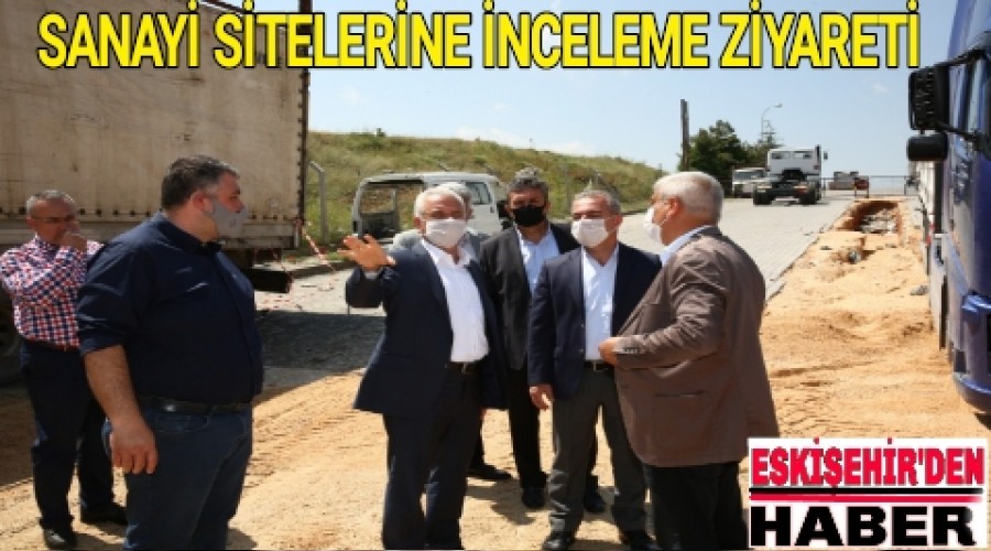 SANAY STELERNE NCELEME ZYARET