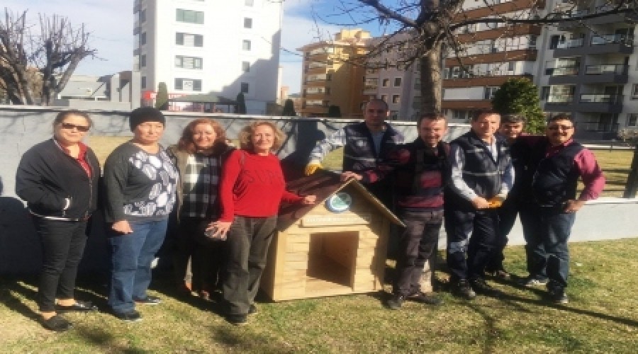 Sevimli dostlarmza yeni yuvalar