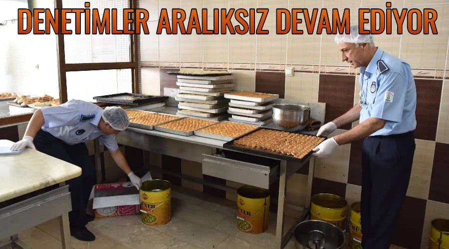 DENETMLER ARALIKSIZ DEVAM EDYOR