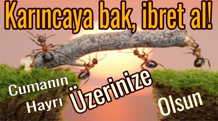 Karncaya bak, ibret al!