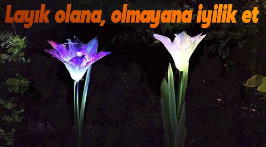 Layk olana, olmayana iyilik et