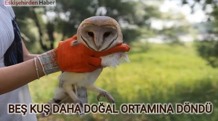 BE KU DAHA DOAL ORTAMINA DND