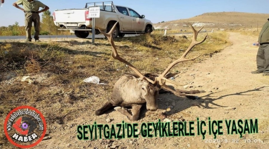 SEYTGAZ'DE GEYKLERLE  E YAAM