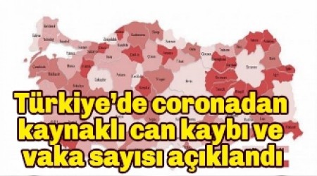 Trkiyede coronadan kaynakl can kayb ve vaka says akland