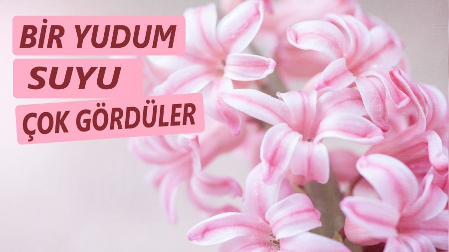 Bir yudum suyu ok grdler