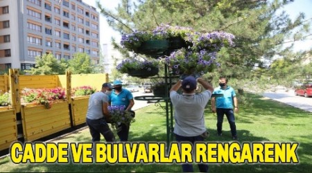 ESKEHR'DE CADDE VE BULVARLAR RENGARENK