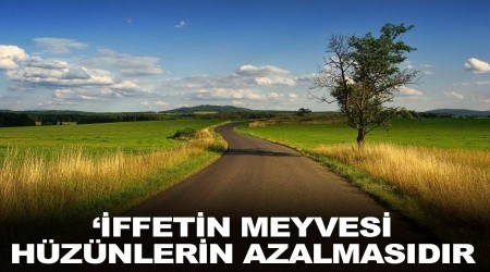 ffetin meyvesi hznlerin azalmasdr