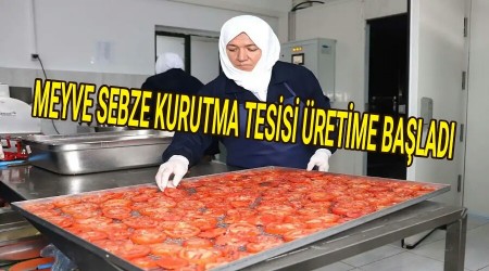 Meyve sebze kurutma tesisi retime balad