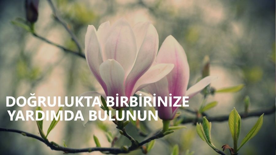 Dorulukta birbirinize yardmda bulunun