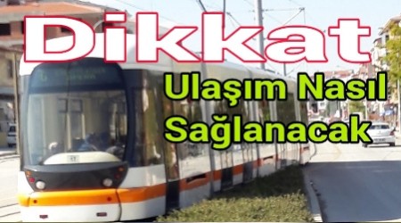 Eskiehir'de Ulam Nasl Salanacak?