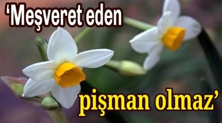 Meveret eden piman olmaz