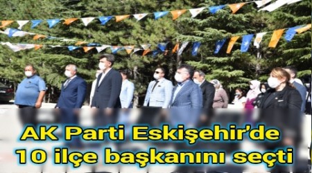 AK Parti Eskiehir'de 10 ile bakann seti