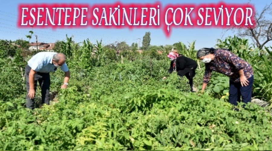 ESENTEPE SAKNLER OK SEVYOR