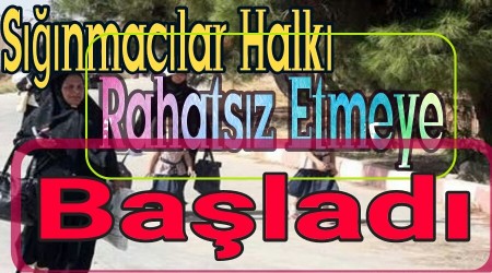 Eskiehir'de Snmaclar Halk Rahatsz Etmeye Balad