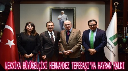 MEKSKA BYKELS HERNANDEZ TEPEBAI'NA HAYRAN KALDI