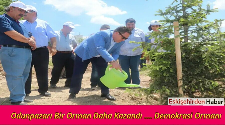 Odunpazar Bir Orman Daha Kazand .... Demokrasi Orman