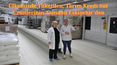 lkemizde Tketilen, Tarm Kredi St rnlerinin Tamam Eskiehirden