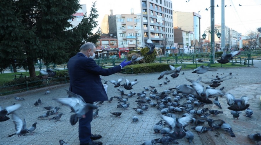 Vali akacak, Sokak Hayvanlarn Besledi