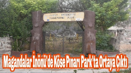 Magandalar nnde Kse Pnar Parkta Ortaya kt