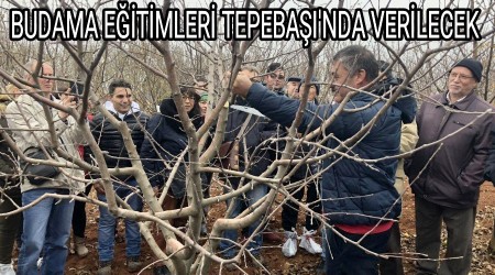 BUDAMA ETMLER TEPEBAI'NDA VERLECEK