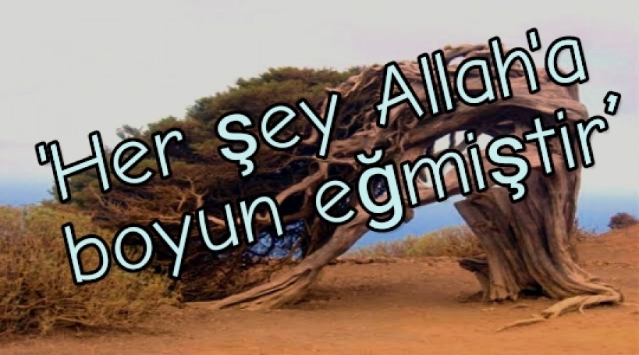 Her ey Allah'a boyun emitir