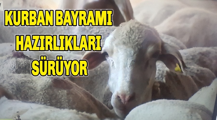 KURBAN BAYRAMI HAZIRLIKLARI SRYOR