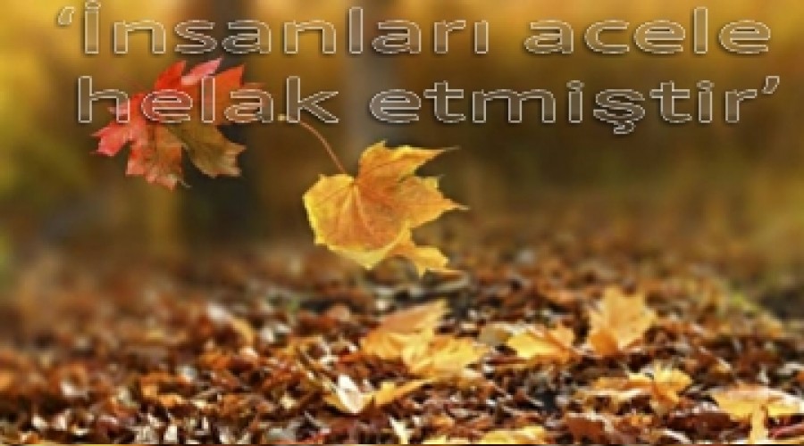 nsanlar acele helak etmitir