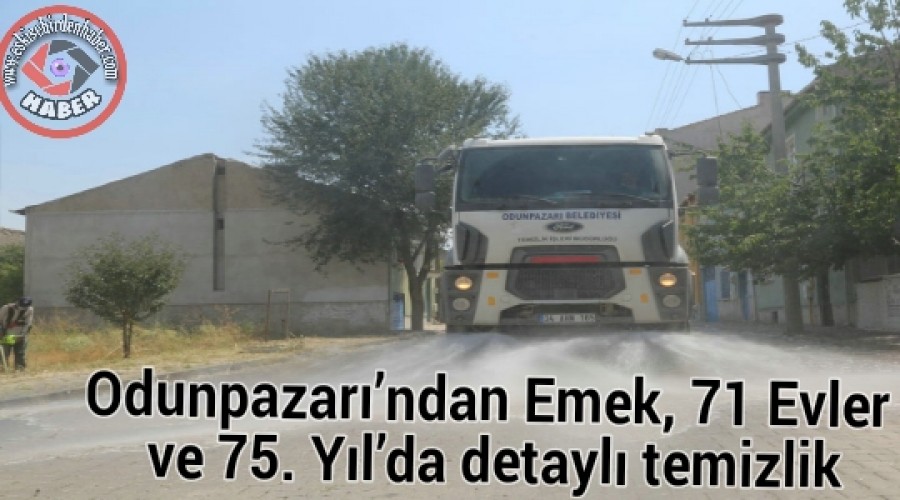 Odunpazarndan Emek, 71 Evler ve 75. Ylda detayl temizlik