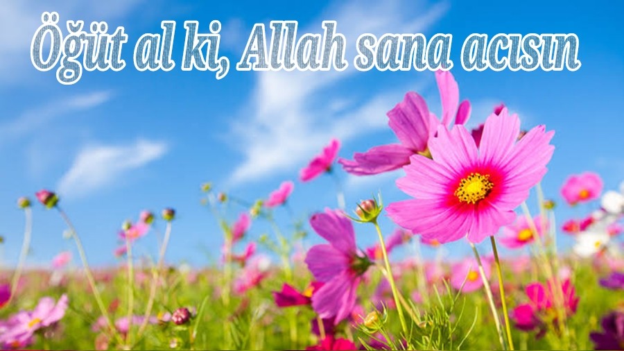 t al ki, Allah sana acsn