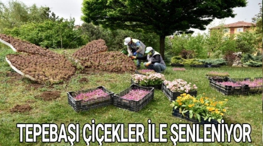 TEPEBAI EKLER LE ENLENYOR