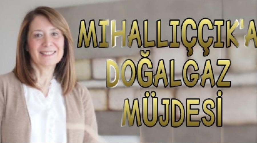 MIHALLIIK'A DOALGAZ MJDES