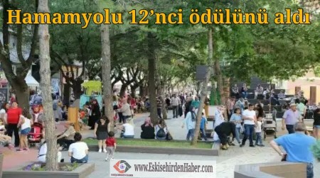 Hamamyolu 12nci dln ald