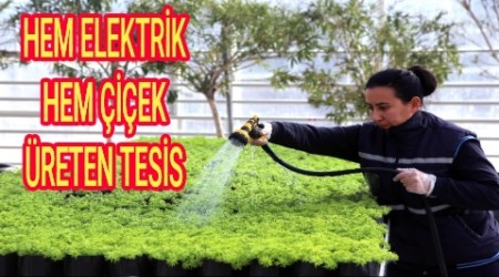 HEM ELEKTRK HEM EK RETEN TESS