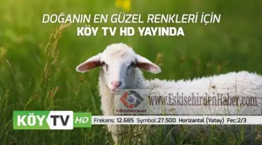 Ky TV HD yayn hayatna balad