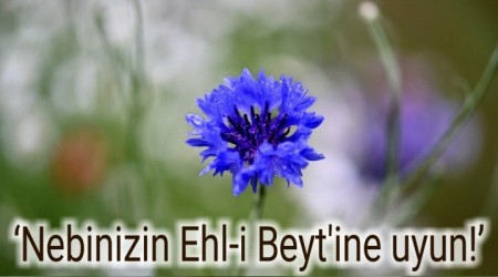 Nebinizin Ehl-i Beyt'ine uyun!