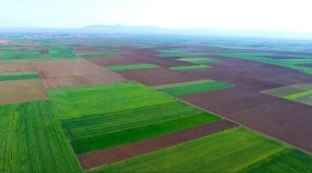 HALK STEMED, BYKEHR DAVA ATI  KAZANAN DOA VE ESKEHR OLDU