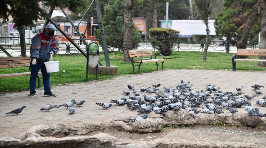 SOKAKTAK CANLAR UNUTULMUYOR