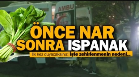 nce nar sonra spanak bakalm srada ne var!