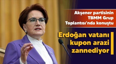   Erdoan vatan kupon arazi zannediyor