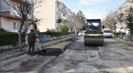 TEPEBAI'NDA STYAPI ALIMALARI SRYOR